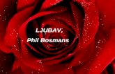 ljubav, Phil Bosmans