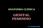2 a25-Genital Feminino