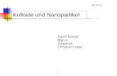 Kolloide Und Nanopartikel Neu