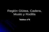 Región Glútea, Cadera, Muslo y Rodilla (Teorico N° 8)