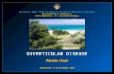 malattia diverticolare (selinunte 2004)