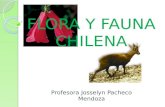 Flora y Fauna Chilena