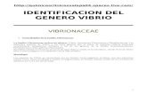 Micro Vibrionaceae