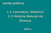 Apresentação História Natural Da Doença 2009.1