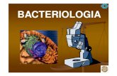 Bacteriologia generalidades