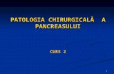 Curs 12 - Pancreas Curs 2