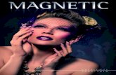 Magnetic Nails Catalog 2009