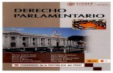 CDG - Teoría del Acto Parlamentario (PERU)