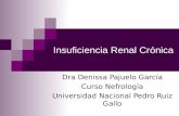 CLASE Insuficiencia Renal Crónica