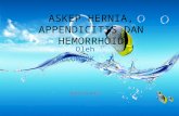 Askep Hernia, Appendicitis Dan Hemorroid