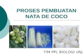 Proses Pembuatan Nata de Coco