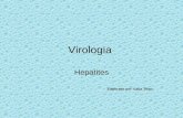 Virologia hepatites