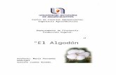 Monografia Del Algodon