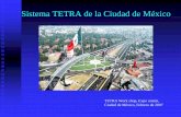 Tetra Mexico