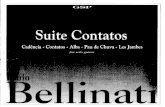 Paulo Bellinati - Suite Contatos