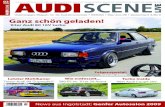 Audi Scene 2009-03_