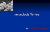 Inmunologia tumoral 1