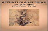 anatomia II-Giordano Perin