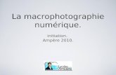 Macrophotographie Ampere2010bis