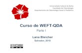 Curso de WEFT-QDA 1a Parte Cor