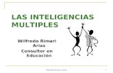 Inteligencias Múltiples Wilfredo Rimari 2009 ok