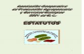 Estatutos Cooperativa 2001 El Salvador