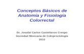 1.-Conceptos básicos de Anatomia y Fisiología Colo-Ano-rectal 2010