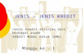 7~JENIS – JENIS KREDIT