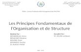 Les Principes Fondamentaux de l’Organisation et de Structure