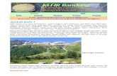 Kefir Information 1