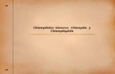 Clase 13. Generos Chlamydia y Chlamydophila 2007.