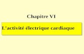 Activité électrique cardiaque