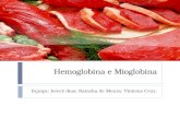 Hemoglobina e Mioglobina