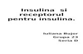 Insulina Si Receptorul Pentru Insulina - Iuliana Bujor
