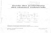 Guide Des Protections Des Reseaux Industriels