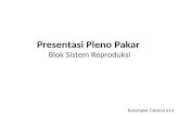 Presentasi Pleno Pakar Pc1-Sistem Reproduksi Kelompok A14
