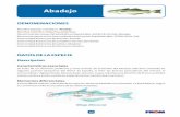Guía FROM -Pescados y Mariscos - Variedades
