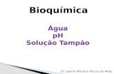 Bioquímica Aula 2 - água, pH e Tampões