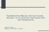 Presentacion Bases Curriculares CCN