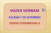 VOZES VERBAIS II2742010145533