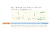 Monografía Erosión en Pilas y Estribos - Ramiro Reyes