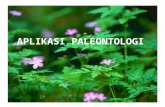 Paleontologi (Kuliah 4) Aplikasi Paleontologi Gasal 2010 2011