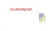 Bai giang Flavonoid