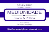 Seminário - Mediunidade - teoria e prática-pdf
