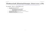 Tutoriel DataStage Server (9)
