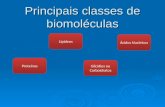 Biomoléculas 2010