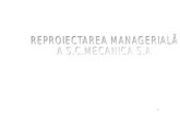 Reproiectarea Managerial A a SC Mecanica SA3