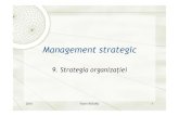 MS9 Strategia organizatiei