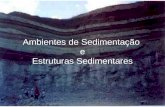 Ambientes de Sedimentação e estruturas sedimentares