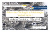Atlas Citologia y Histologia Veterinaria I